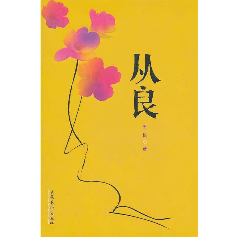 【正版书】 从良 王松 文化艺术出版社