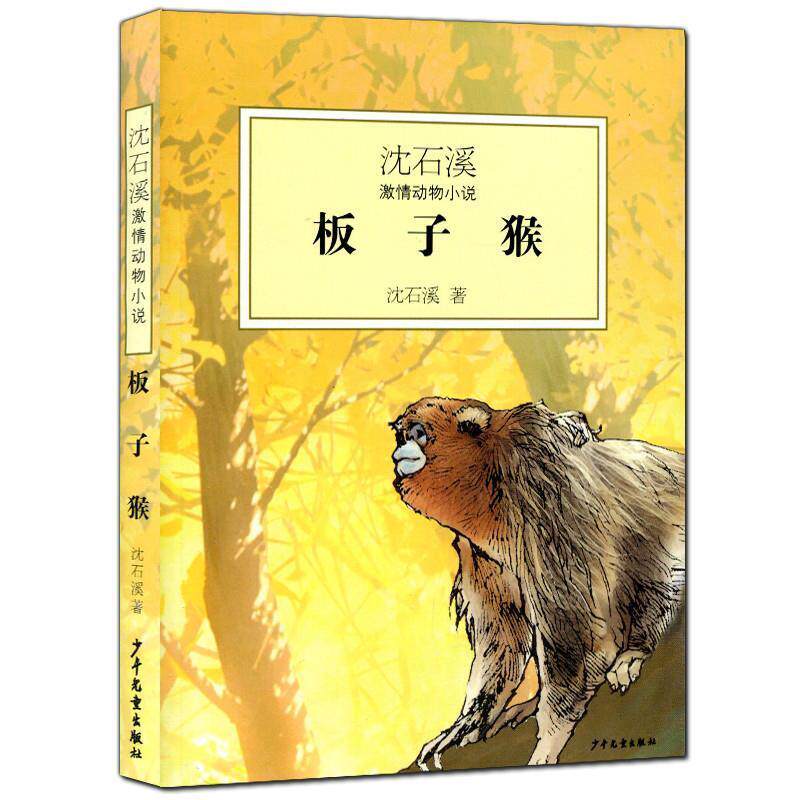 【正版书】 沈石溪激情动物小说--板子猴 沈石溪 少年儿童出版社