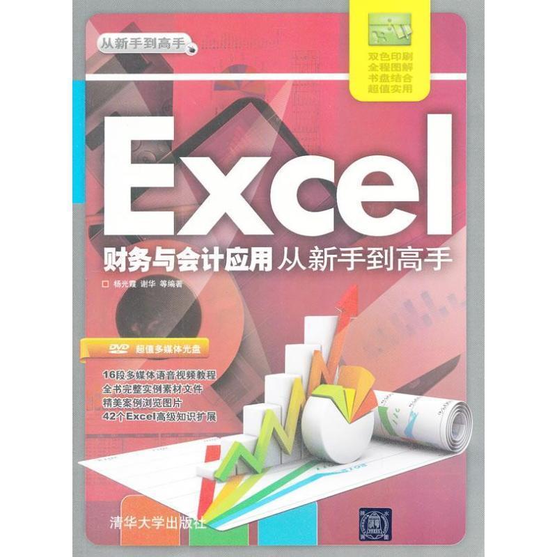 【正版书】 Excel 财务与会计应用从新手到高手 杨光霞,谢华 等 著 清华大学出版社