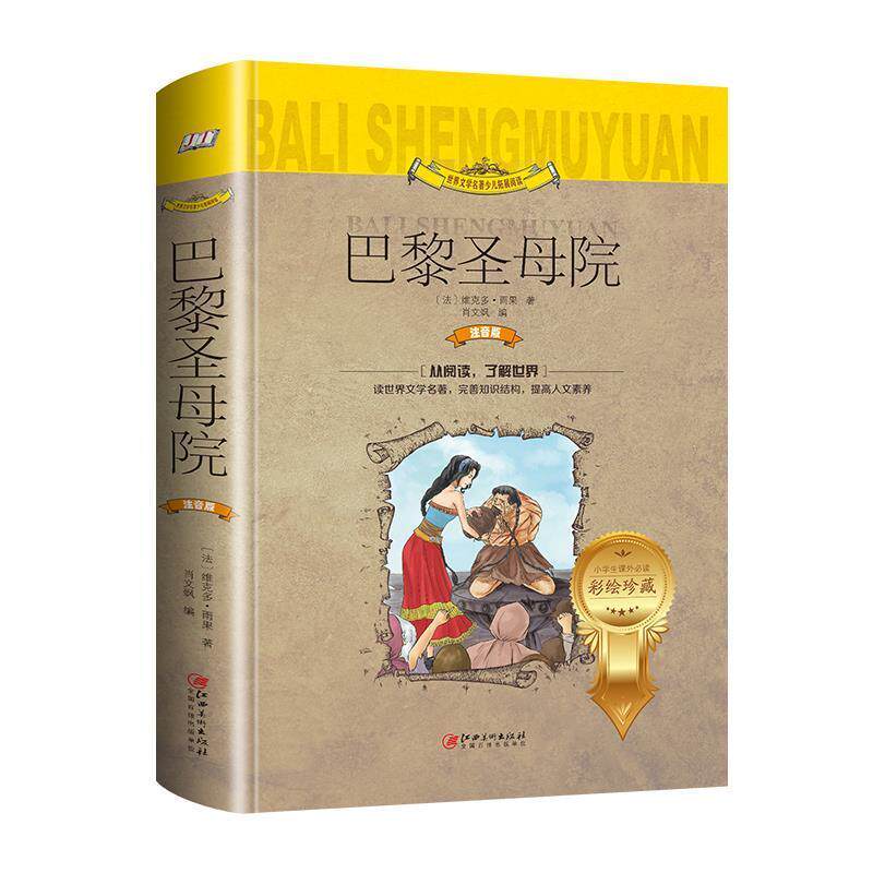 【正版书】 彩绘珍藏注音版 巴黎圣母院 [法]维克多·雨果,肖文飒 江西美术出版社