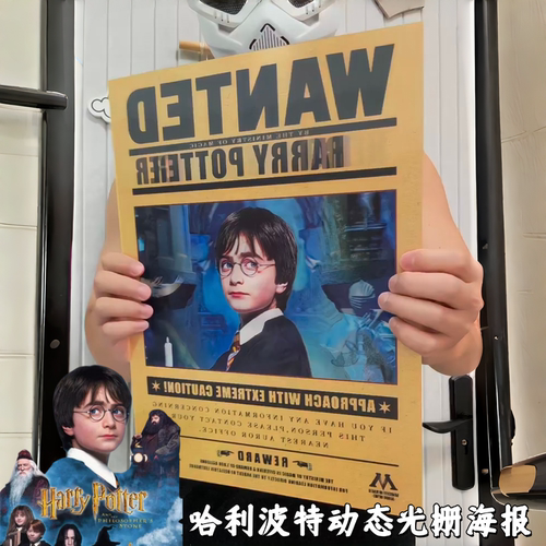 哈利波特3d立体光栅海报