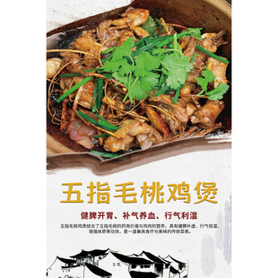 五指毛桃鸡煲广告海报墙贴纸养生药膳客家炭炉鸡煲挂图火锅装饰画