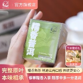 糯香普洱茶云南熟茶叶糯米香办公室便携袋泡可冷泡下午茶独立包装