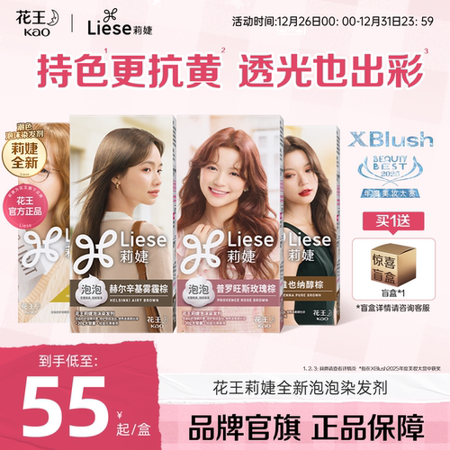 花王Liese莉婕全新泡沫染发剂