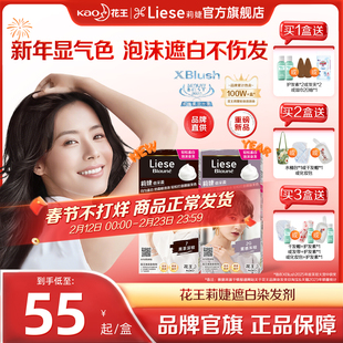 【花王遮白染】莉婕Liese泡沫染发剂染发膏遮白发泡泡染黑茶黑色