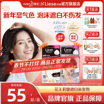 【花王遮白染】泡沫染发剂黑茶色