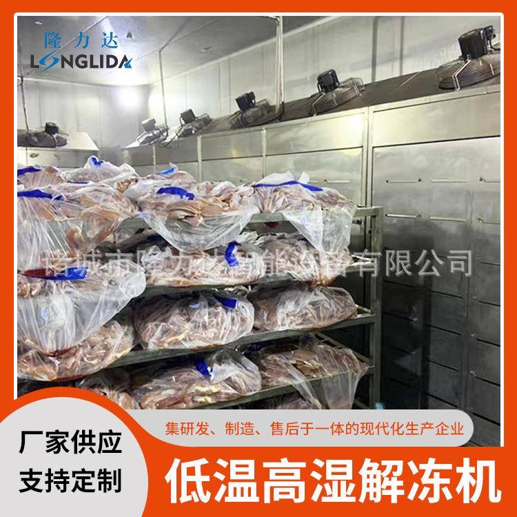 全自动低温高湿解冻库羊酮体低温高湿静电解冻机缓化解冻设备