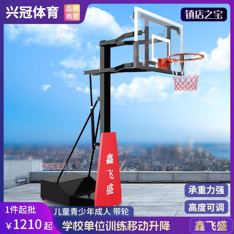 成人篮球架户外可移动平箱篮球架可升降青年学校金属篮球框架