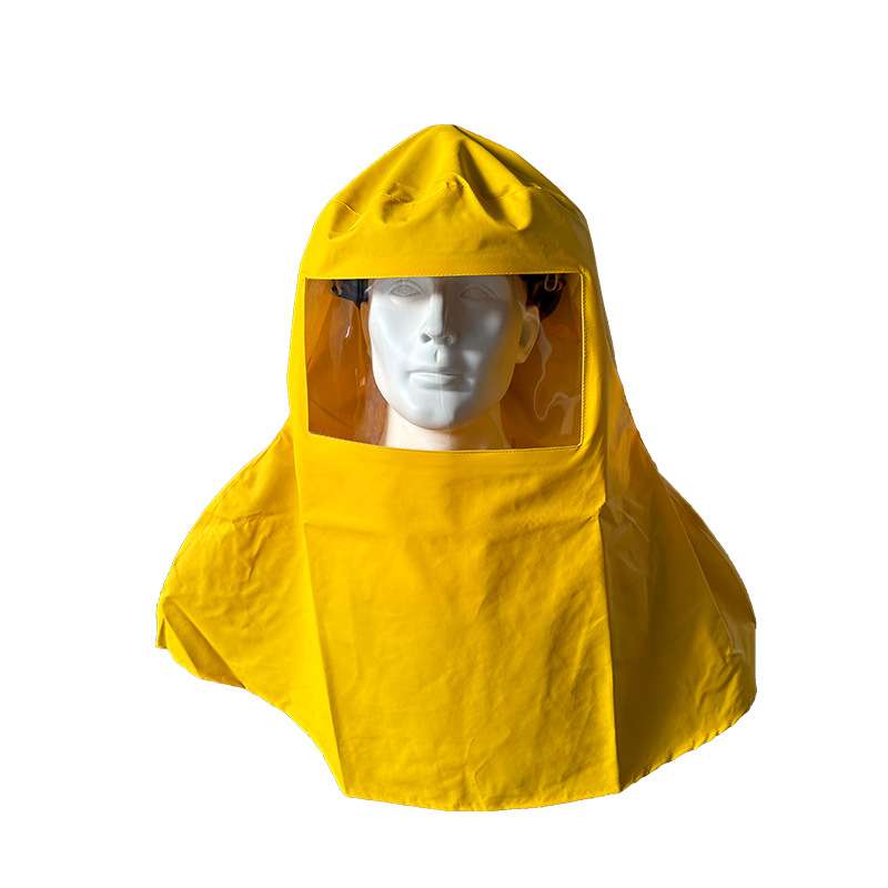 20026A大全面罩防飞溅防水防 耐酸碱防腐蚀实验室化工防化头罩