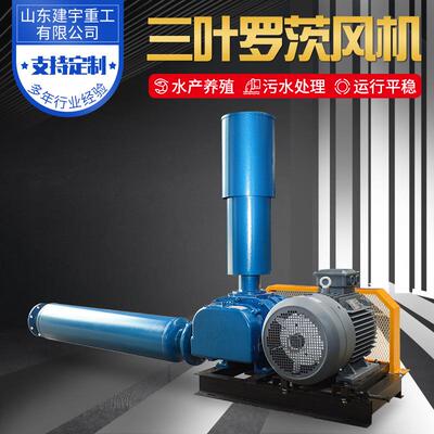 罗茨风机 供应低噪音污水处理鱼塘增氧机JYSR-100型三叶罗茨风机