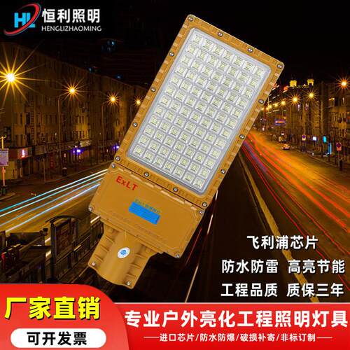 市电路灯市政工程道路照明100W加油站化工厂油库免维护防水防爆路