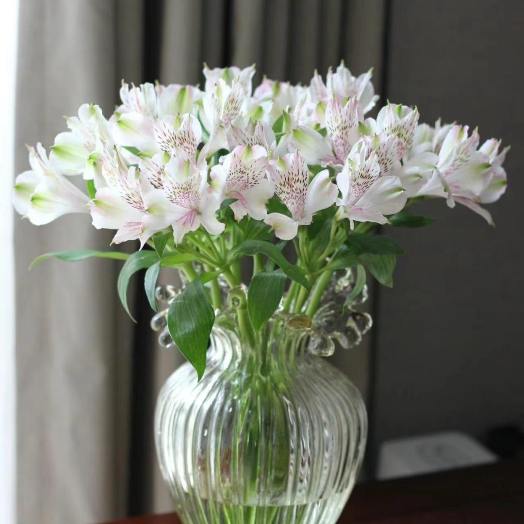 云南昆明直发水仙百合鲜花家庭生活用花新鲜花束六出花直批