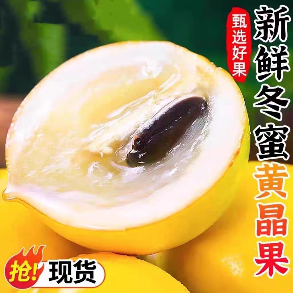 黄晶果新鲜正宗冬蜜鲜果四季黄宝石大果高山稀有高端牛奶果黄晶果