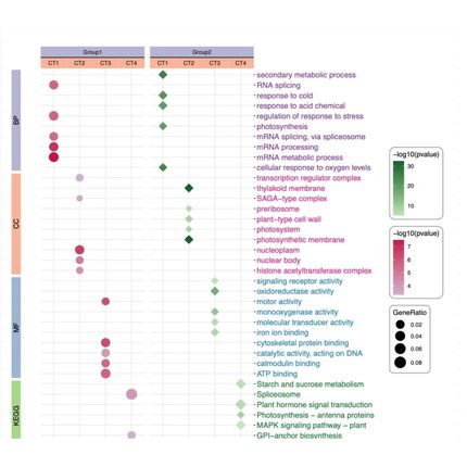 医学文章咨询|发表咨询|快速通道|多年经验|全程保密
