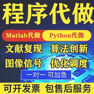 matlab代码帮做代编程序代做python覆现算法彷真编写图像信号处理