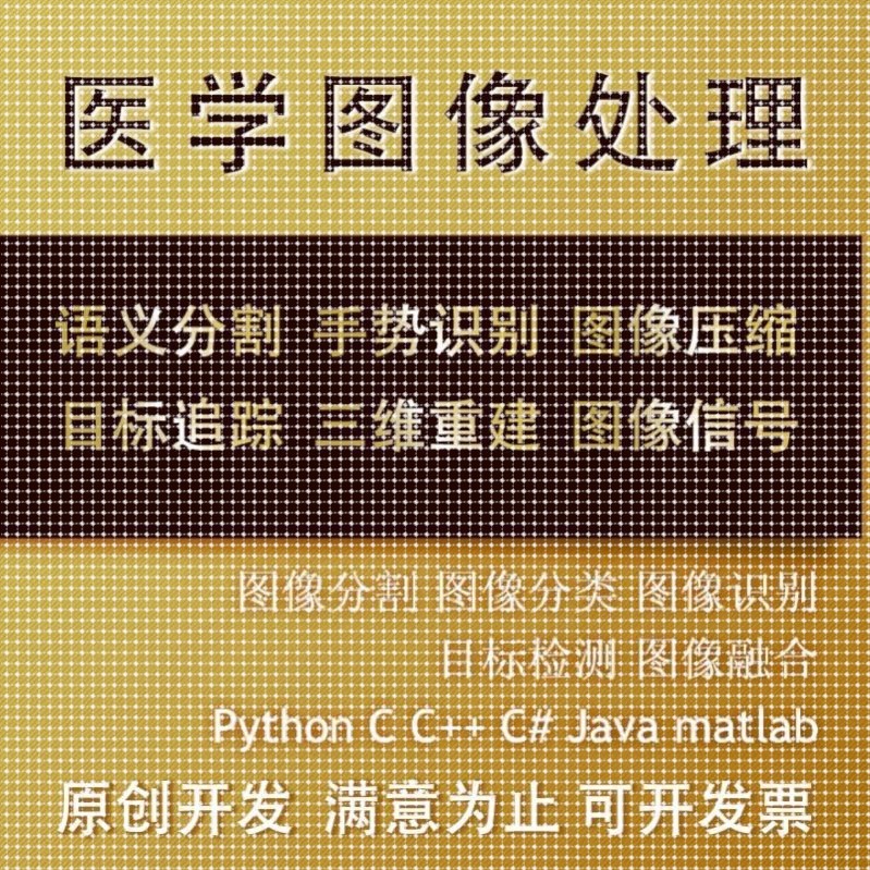 matlab医学图像处理分割代编图像识别python图像深度学习语义分割
