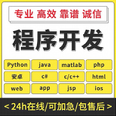 计算机JAVA代码编写python代编程序C++设计C语言代做c#开发vb接单