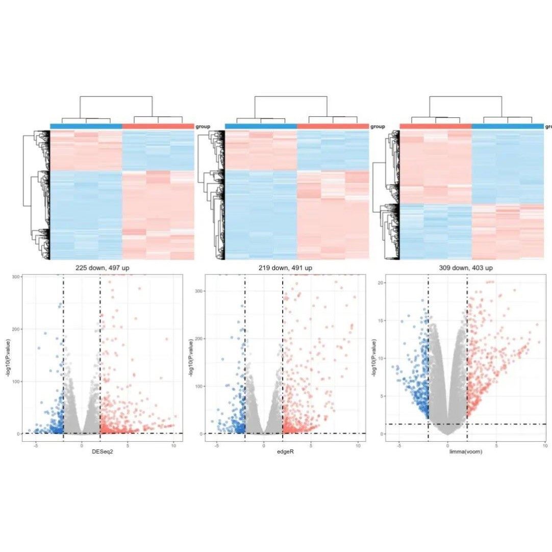 R语言生信做图代谢组转录组RNA-seq