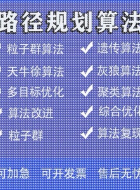 matlab路径规划遗传蚁群粒子群算法代做Python强化学习多目标优化