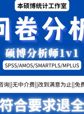 硕博1v1SPSS数据分析AMOS结构方程STATA数据分析数据调整显著性