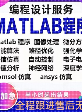 Matlab代编程序python深度机器学习神经网络图像处理通信仿真算法