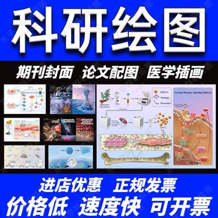 科研绘图/代画作图sci医学插图画图机制图origin图形摘要封面美化