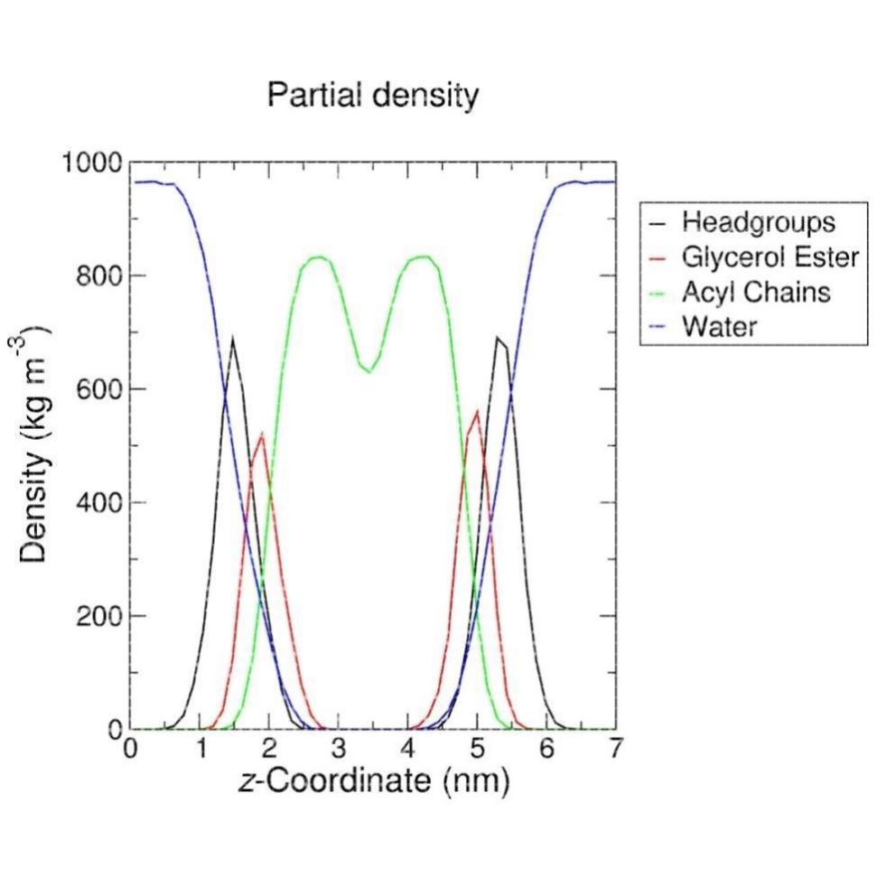 膜蛋白的分子动力学模拟蛋白模型构建分子对接基因家族