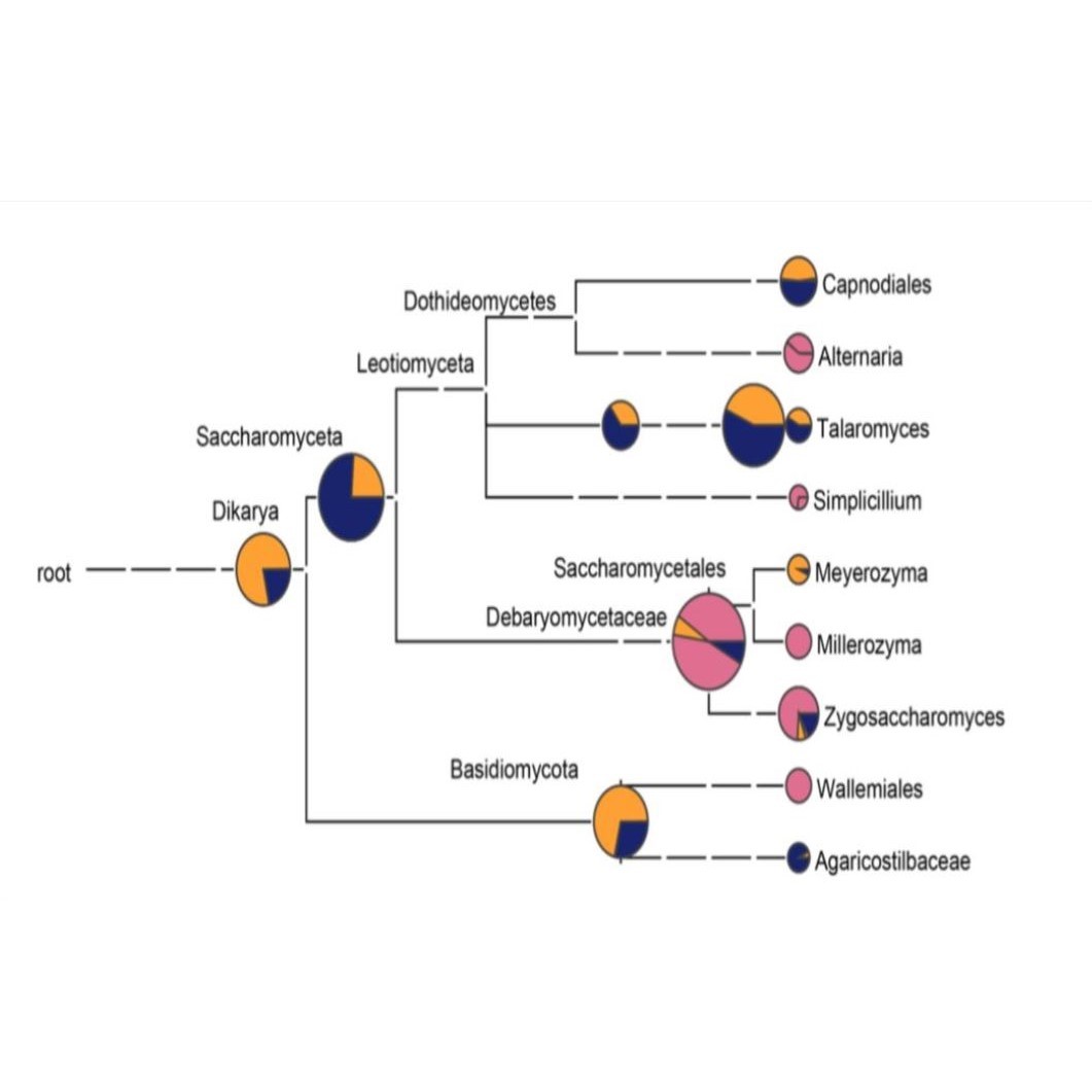 基因转录组Rseq关联分析GWAS混池分离BSAbulk-seqGeo基因芯片注释