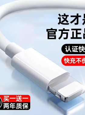【30W认证快充】SINP官方适用苹果13充电线器iPhone14数据线头12原ipad装11手机15双typec正PD品16平板17专用