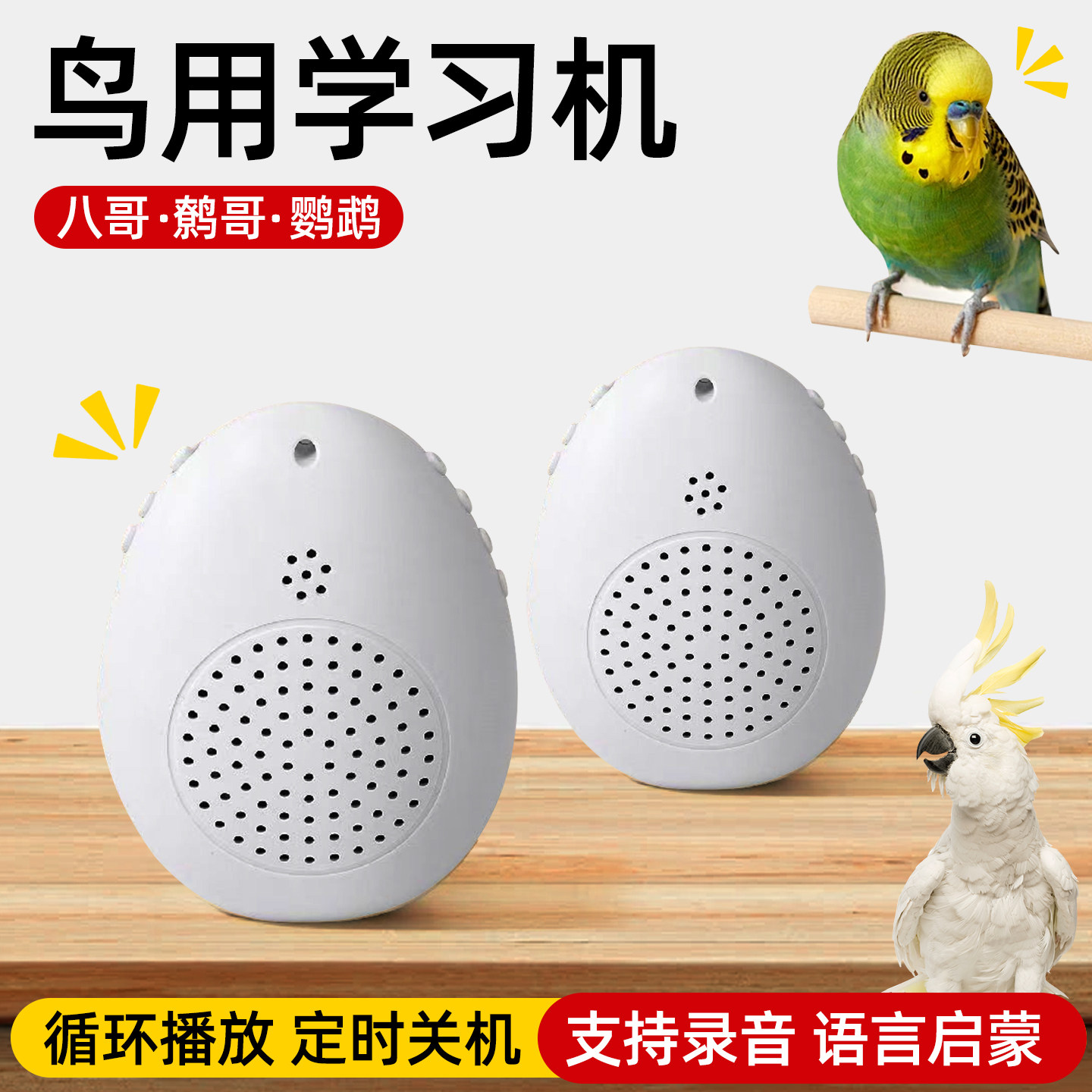 鹦鹉学说话器鸟用训练学习机八哥鹩哥和尚专用复读机玄凤录音教鸟,宠物/宠物食品及用品,鸟禽其他,淘宝优惠券,粉丝福利购,淘宝优惠卷