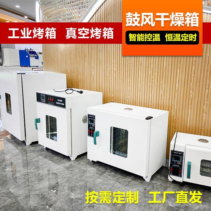 中药材金银花海鲜农副食品烘干机小型工业高温烤箱电热鼓风干燥箱