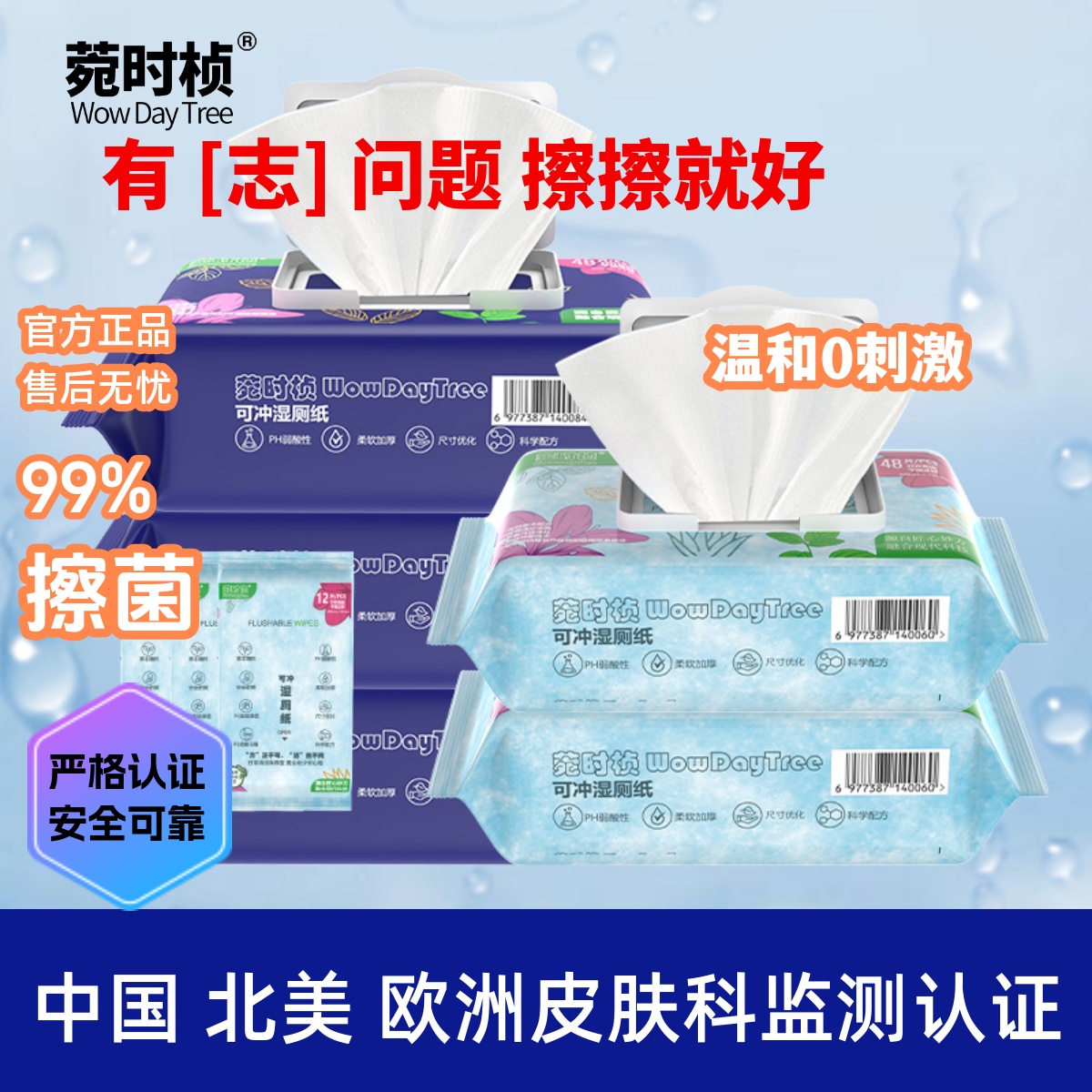 湿厕纸家庭装不刺激护理