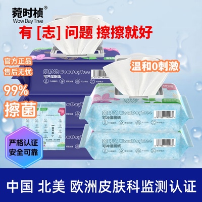 湿厕纸家庭装不刺激护理