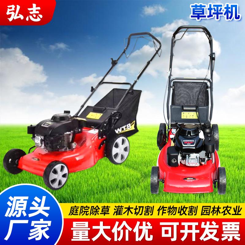 草坪机汽油割草机自走推草机打草机四冲程园林草坪修剪机