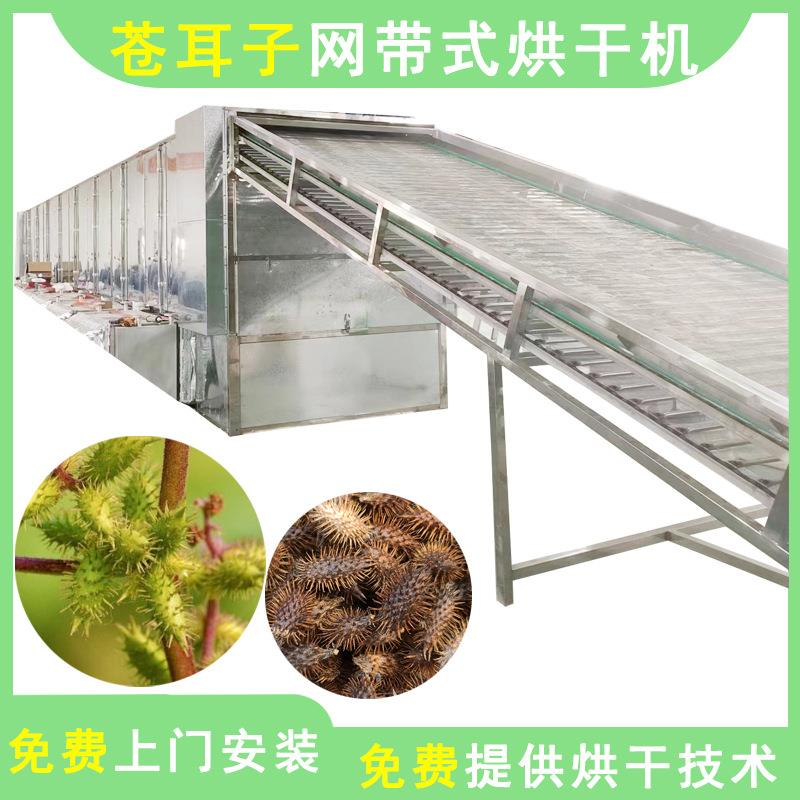 苍耳子烘干机网带玄胡白芷中药材饮片烘干设备大型延胡索干燥机