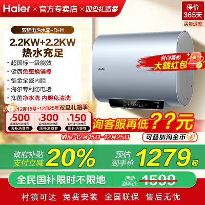 政府补贴海尔扁桶电热水器家用双胆60升一级能效50L卫生间leader