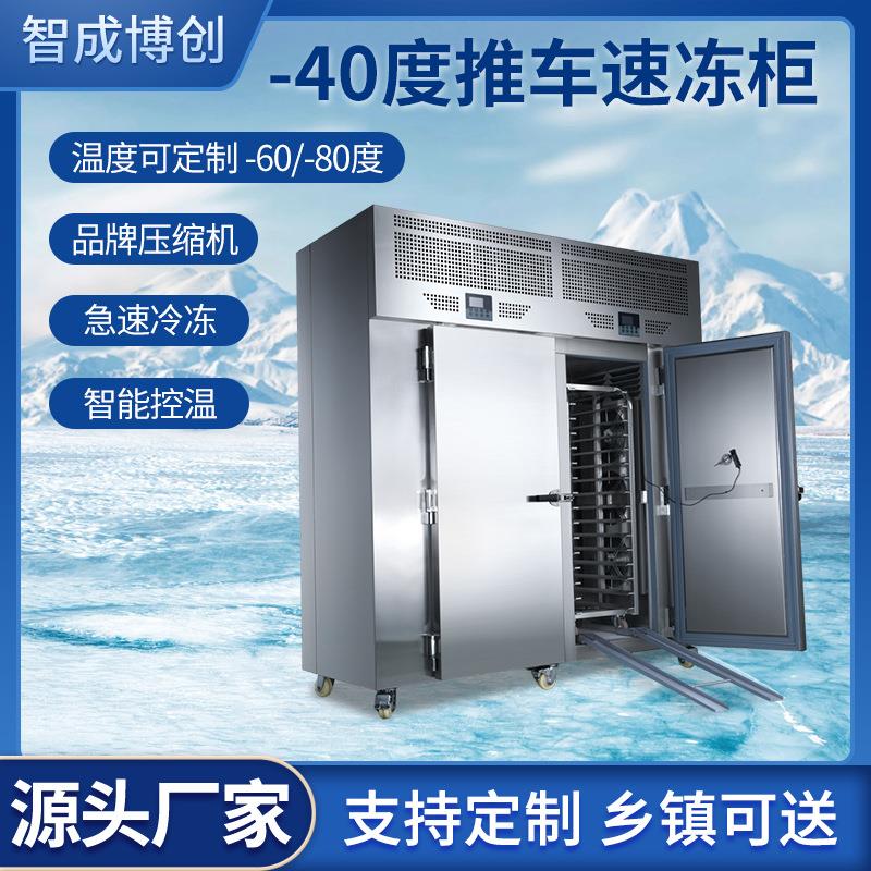 商用推车式速冻柜大容量冰箱速冻插盘冰柜风冷低温急冻冰柜速冻机