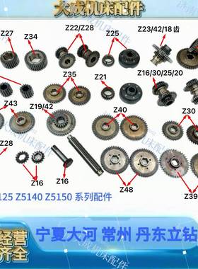 常州大河丹东Z5140A/Z51510B 立式钻床联轴器电机齿 双联四联齿