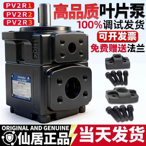 pv2r1叶片泵PV2R2液压帮浦总成pv2r3/4液压油泵压头齿轮泵配件大
