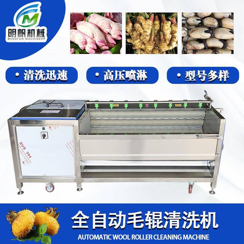 全自动土豆去皮机土豆生姜清洗去皮设备不锈钢毛刷毛辊清洗机