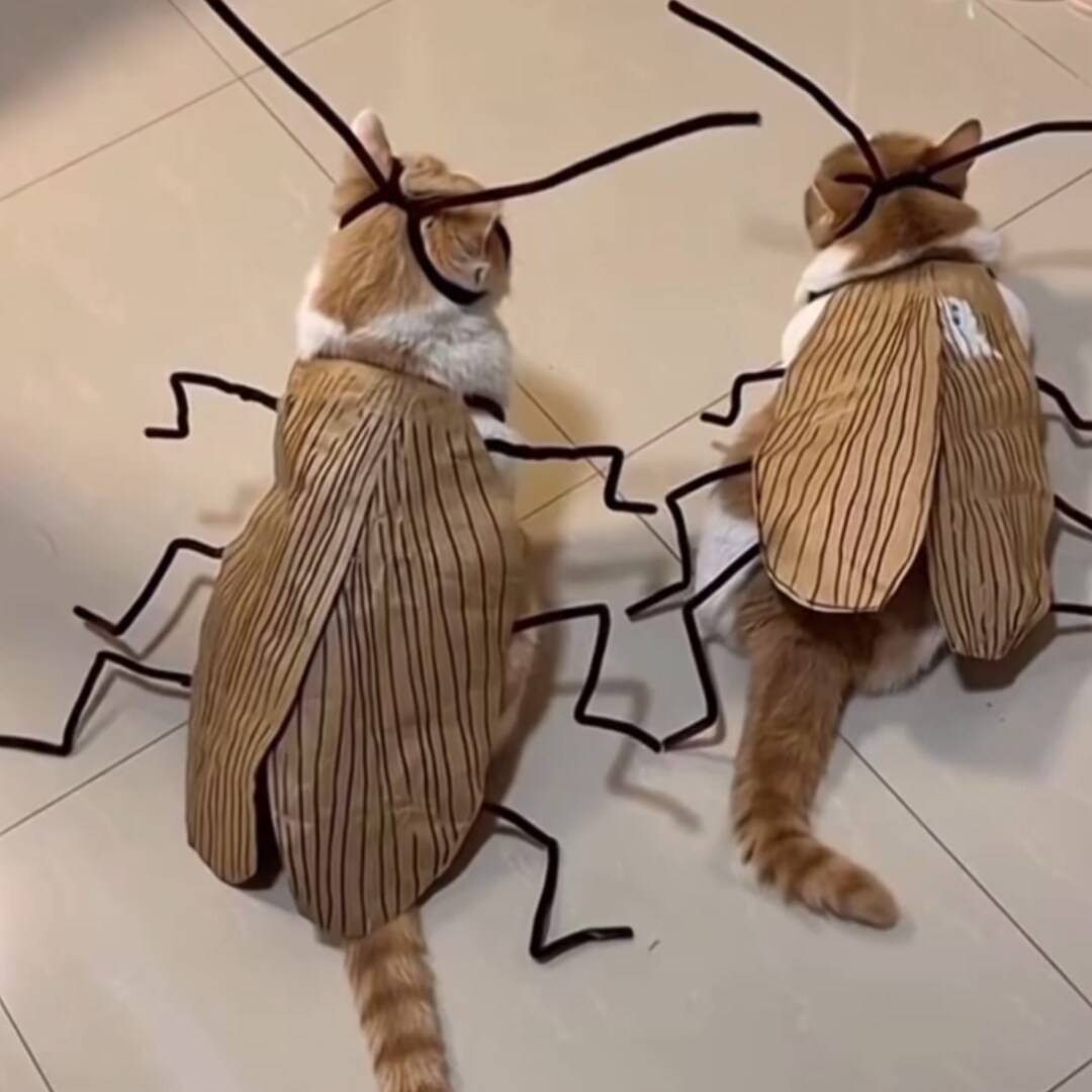 猫咪蟑螂衣服DIY材料包扭扭棒
