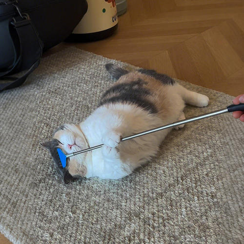 猫咪痒痒挠犁地小耙子逗猫棒宠物按摩梳子自嗨解闷神器猫玩具刷子