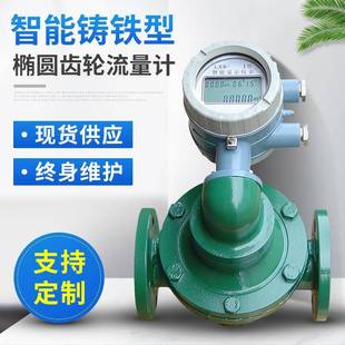 江西油表智能流量计铸铁智能液体汽油齿轮流量计椭圆齿轮流量计
