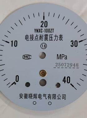 YNXC-100ZT电接点耐震压力表0~40MP轴向带边安装