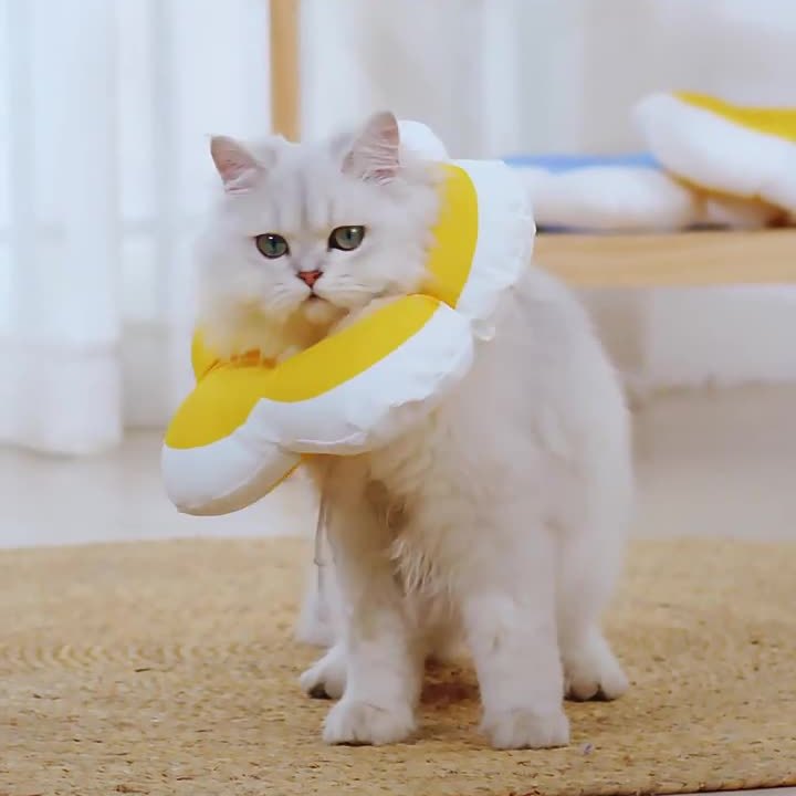 猫咪项圈伊丽莎白圈防水防舔软头