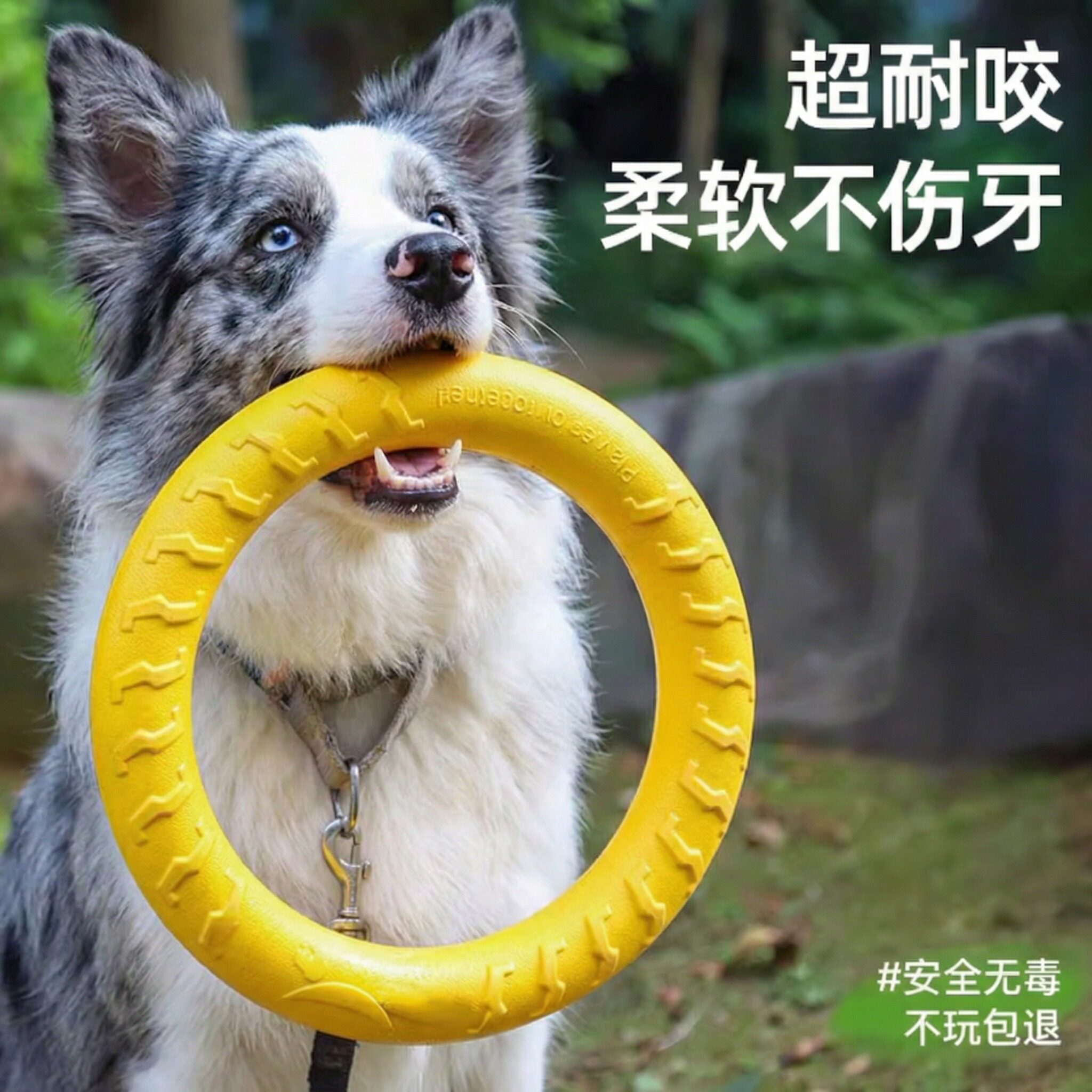 边牧专用耐咬浮水训犬飞盘