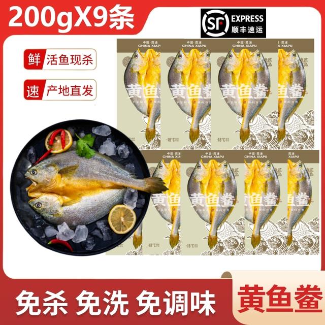 6+3到手9条宁德霞浦黄鱼鲞咸香大黄鱼黄花鱼新鲜免杀免洗免调味