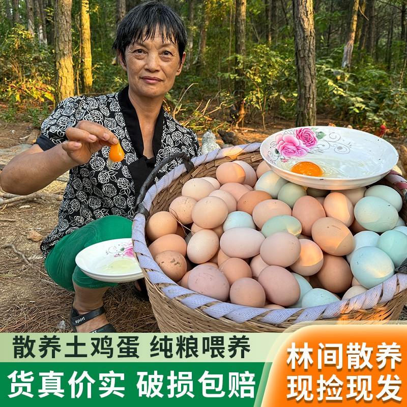 刘姐农场土鸡蛋正宗山林散养土鸡蛋新鲜土鸡乌鸡蛋生鲜