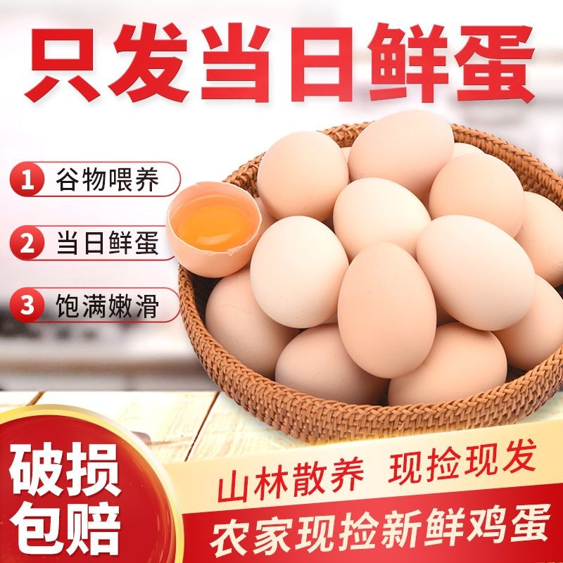 50枚精品山林散养土鸡蛋农家笨鸡蛋单枚40-50g净重2050克新鲜鸡蛋
