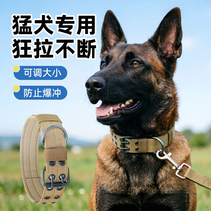 狗狗项圈大型犬狗脖套狗圈颈圈大狗脖圈金毛马犬德牧中型犬牵引绳